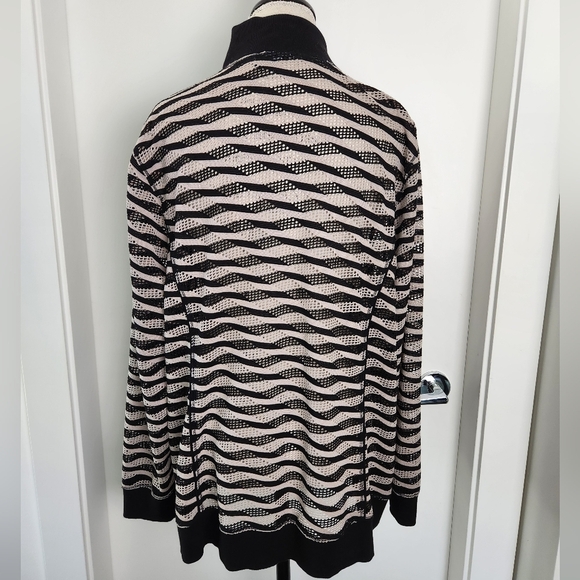 Zipup Striped Sport Jacket - Picture 4 of 13